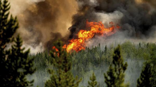 去年的僵尸大火再次爆发，加拿大各地野火肆虐